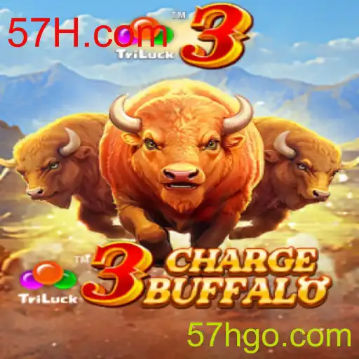 Descubra o Envolvente Mundo de 3ChargeBuffalo